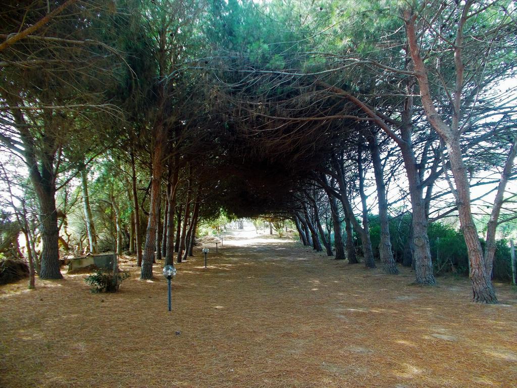 Pineta Spiaggia Grande Калазетта Екстер'єр фото